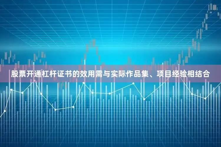 股票开通杠杆证书的效用需与实际作品集、项目经验相结合
