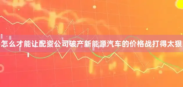怎么才能让配资公司破产新能源汽车的价格战打得太狠