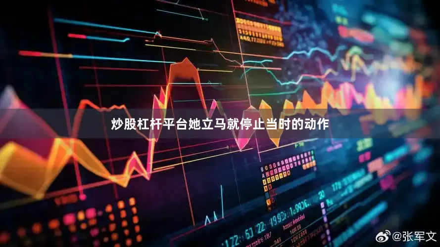 炒股杠杆平台她立马就停止当时的动作