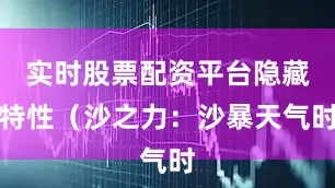 实时股票配资平台隐藏特性（沙之力：沙暴天气时